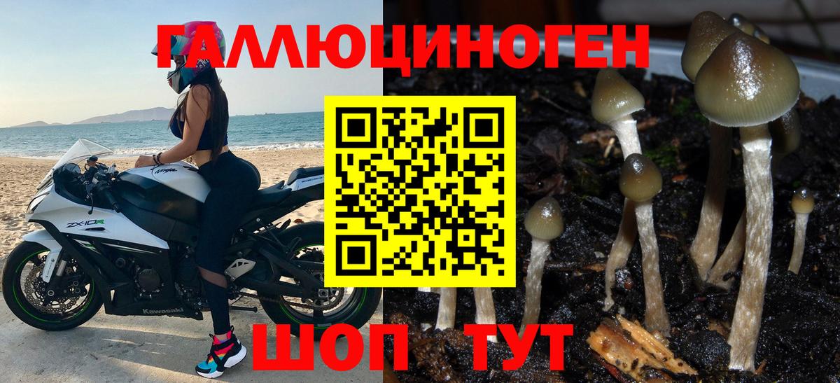 Псилоцибиновые грибы мицелий  Галлюциногенные грибы GOLDEN TEACHER  Вход с VPN  Пугачёв 